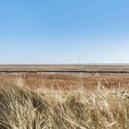 4 Bedroom Gorgeous In Fanø