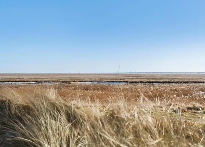 4 Bedroom Gorgeous In Fanø